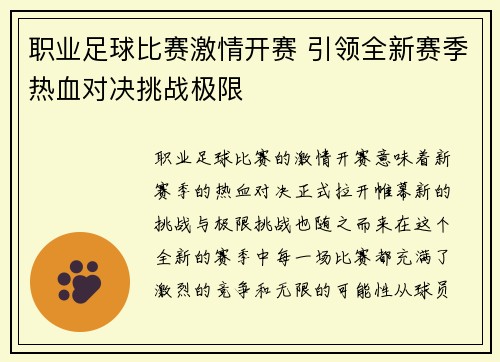 职业足球比赛激情开赛 引领全新赛季热血对决挑战极限
